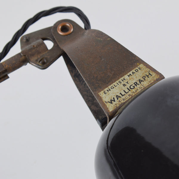 Walligraph Radialite Lamps