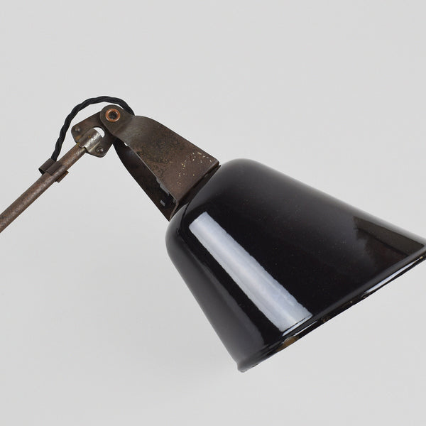 Walligraph Radialite Lamps
